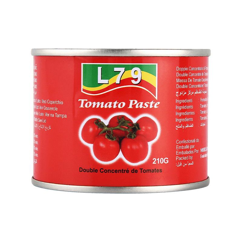 400G Easy Open/ Hard Open Double Concentrated in scatola Paste di pomodoro